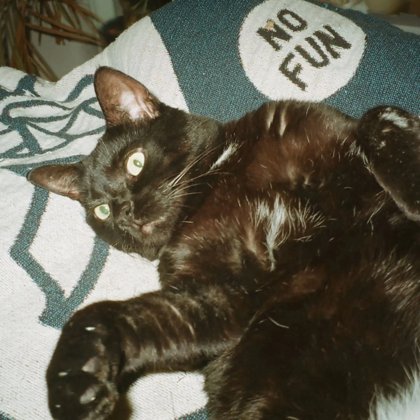 Arken on NO FUN pillow